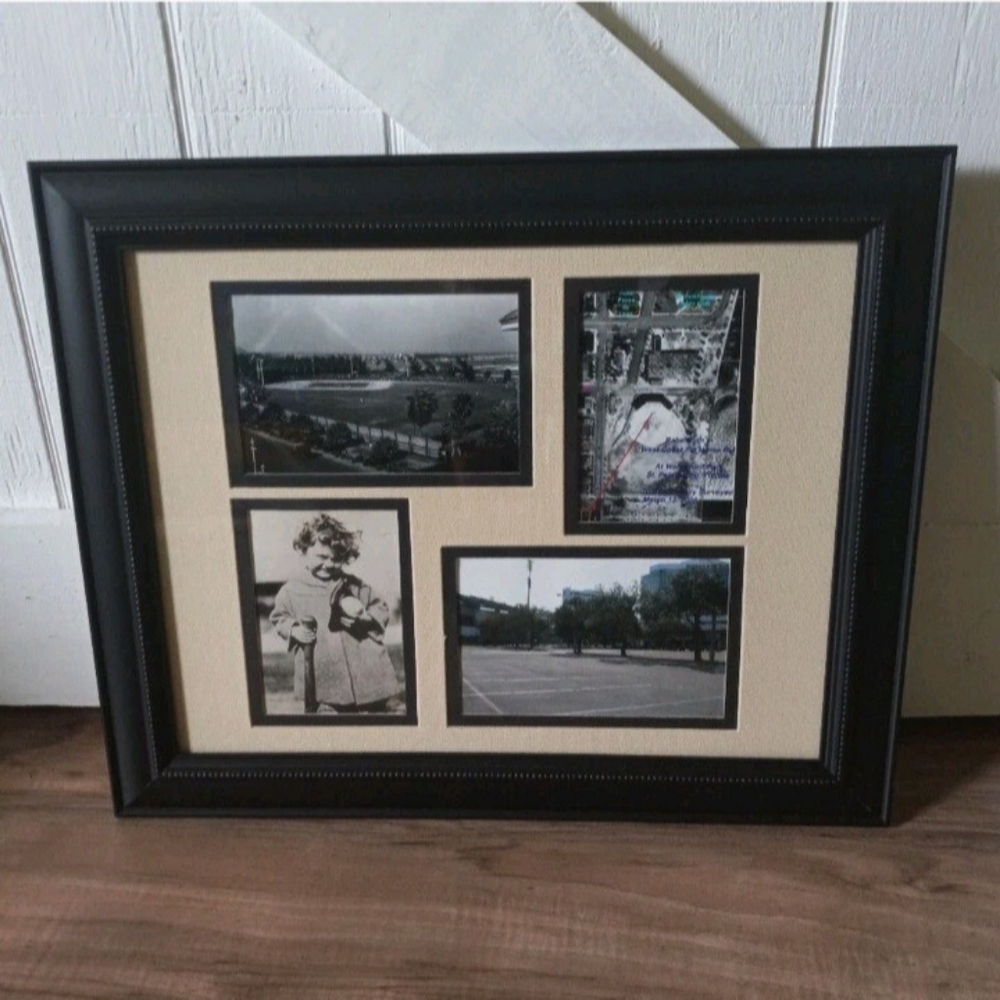 Babe Ruth Waterfront Park Collectible Framed Collage Photos By Bruce Orser